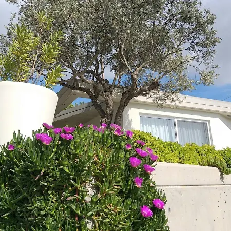 Hill Bungalows *