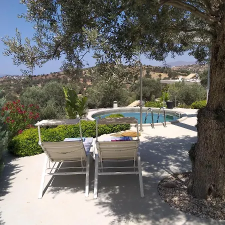 Hill Bungalows